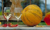 Halloween Rezepte
